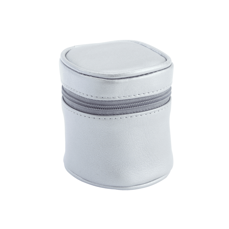 International Travel Adapter and Leather Case, silver