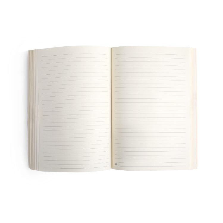 Lined Journal Refills (Set of 2) with Gold Gilded Edging