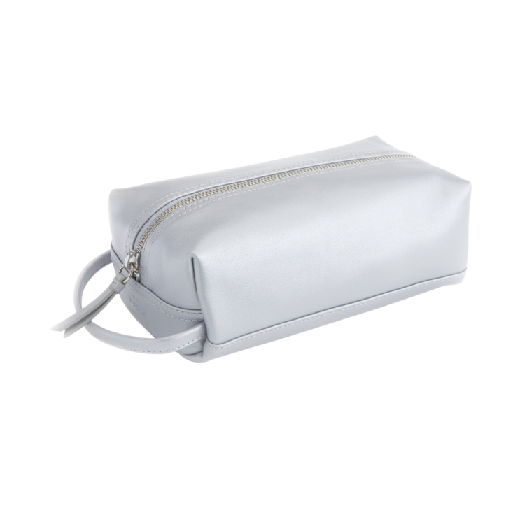 Compact Toiletry Cosmetic Bag, silver