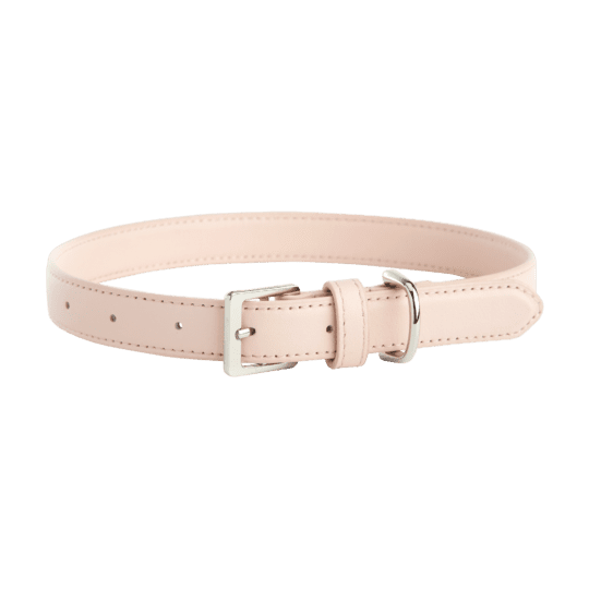 Small Dog Collar