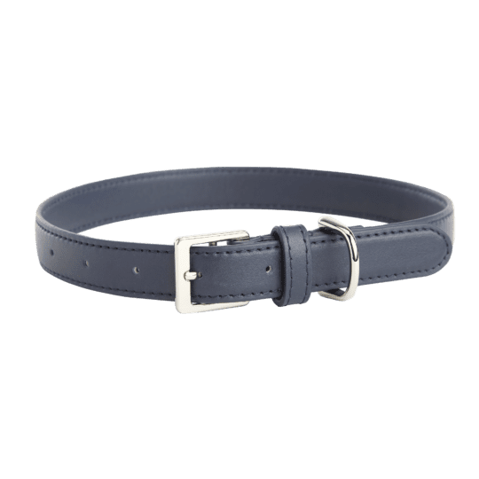 Medium Dog Collar