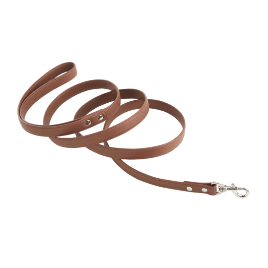 6 Foot Dog Leash